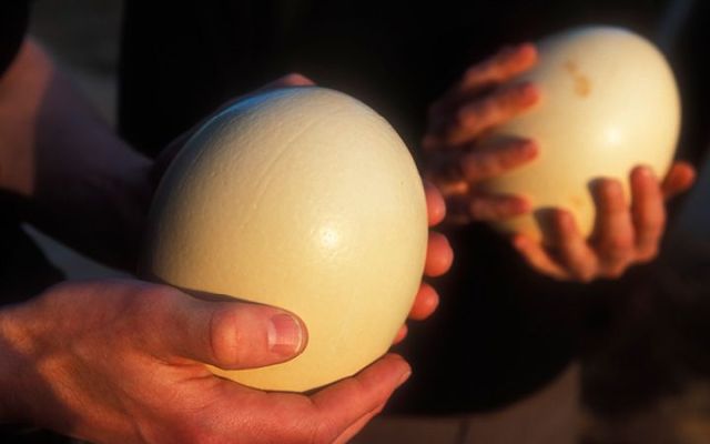 SMSFs vs other types of funds, some issues to consider